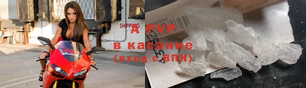 ешки Сосновый Бор