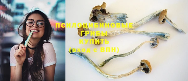 молекула духа Балахна
