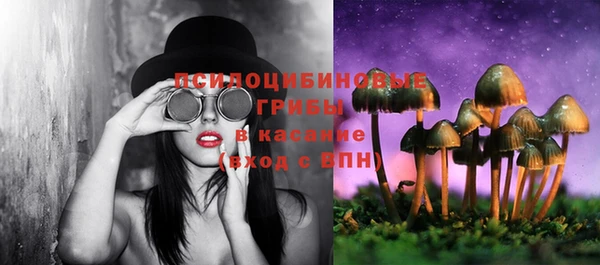 молекула духа Балахна