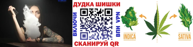 где найти наркотики  Вышний Волочёк  Бошки марихуана сатива 